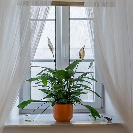 Charming Apartment Tanja Zagabria Camera foto