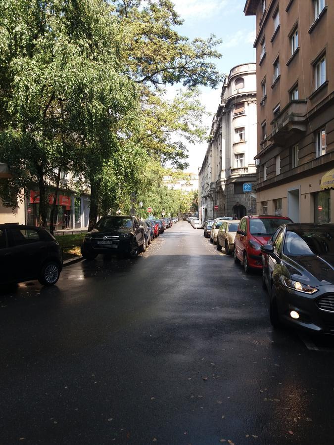Charming Tanja Zagreb