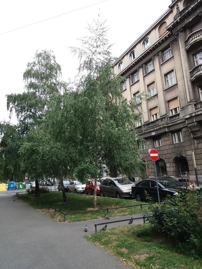 Apartma Charming Tanja *